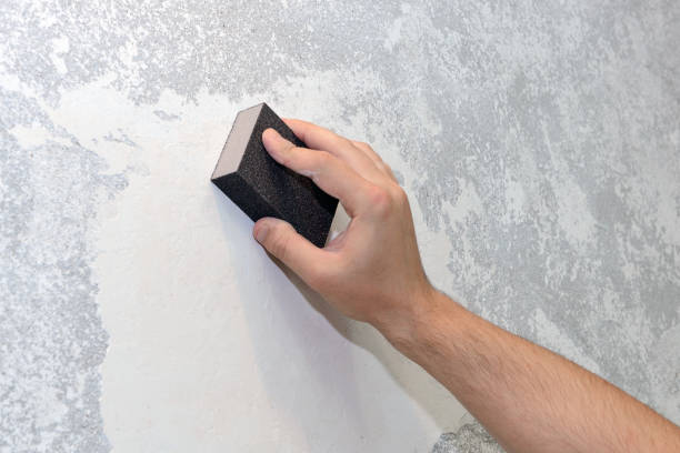 Best Mold Damage Restoration  in Bowling Green, MD