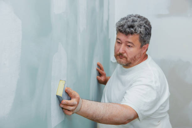 Best Emergency Mold Remediation  in Bowling Green, MD