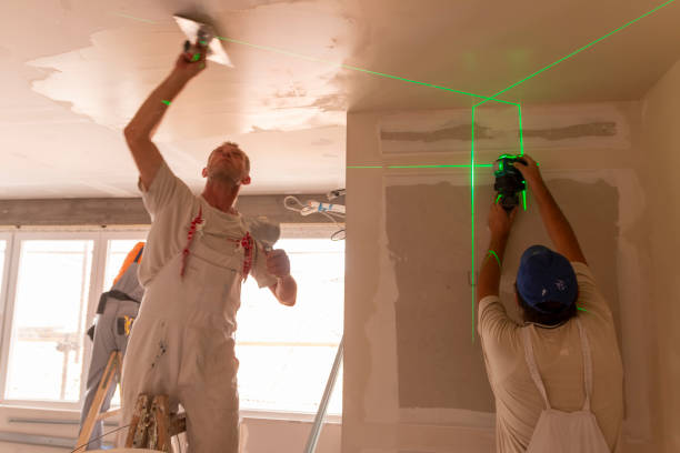 Best Industrial Mold Remediation  in Bowling Green, MD