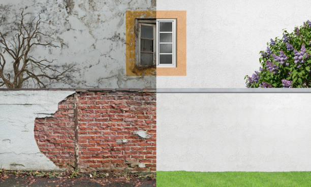 Best Mold Damage Restoration  in Bowling Green, MD