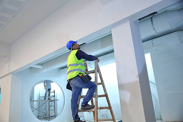 Best Mold Documentation for Insurance Claims  in Bowling Green, MD